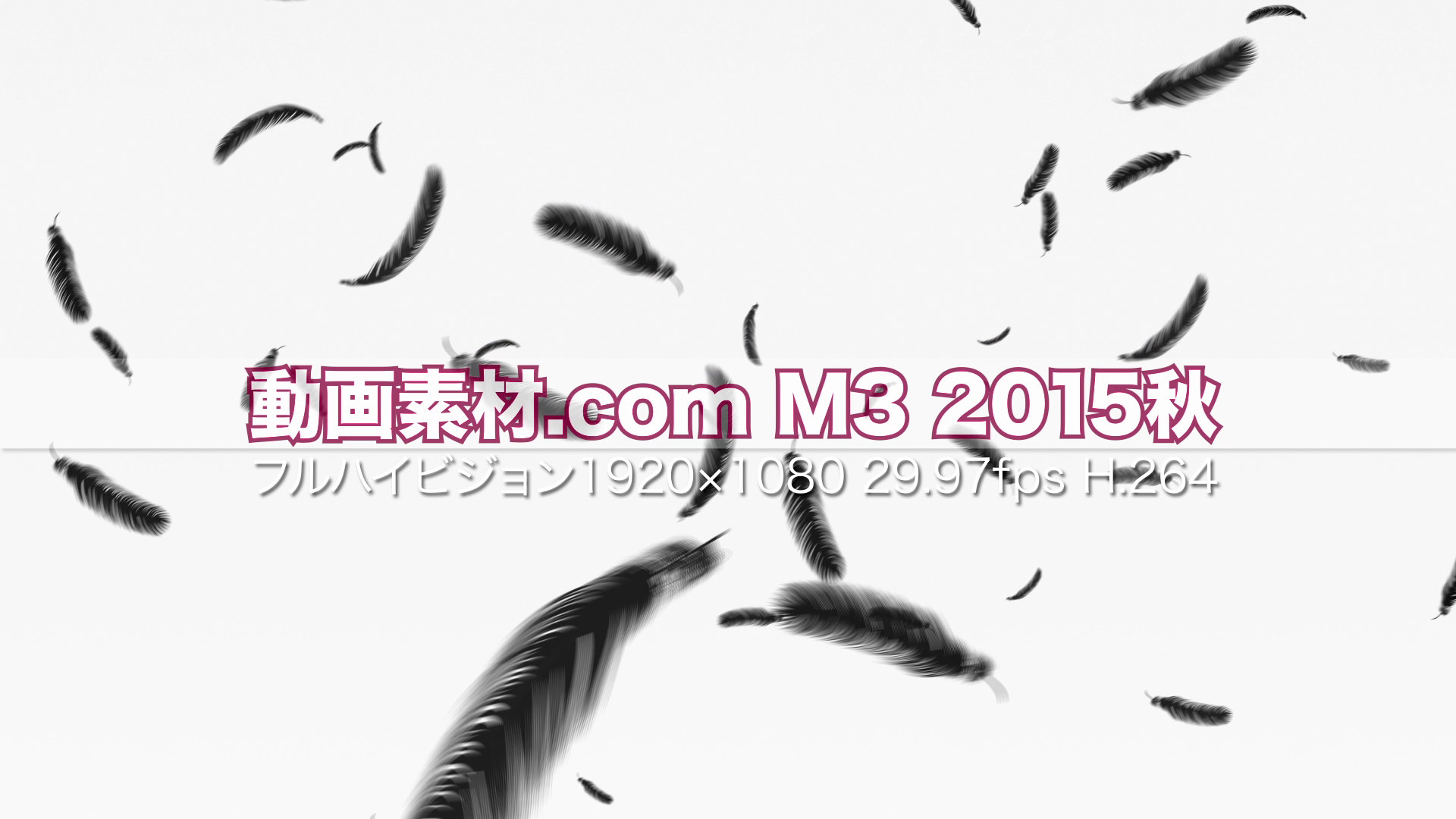 動画素材.com M3 2015秋