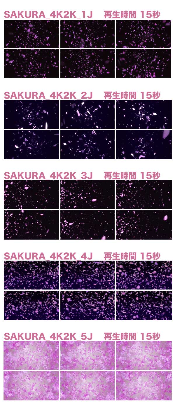 【SAKURA MovieMaterial 4K2K】ロイヤリティフリー 4K2K動画素材集 Image.6