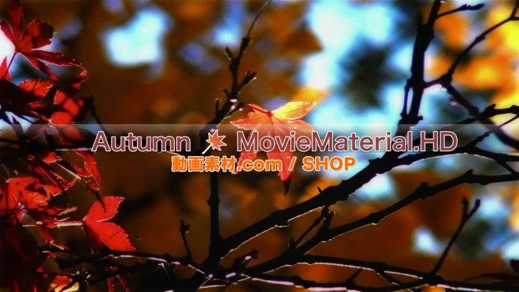 秋を題材にした実写映像素材とCG動画素材【Autumn MovieMaterial】3