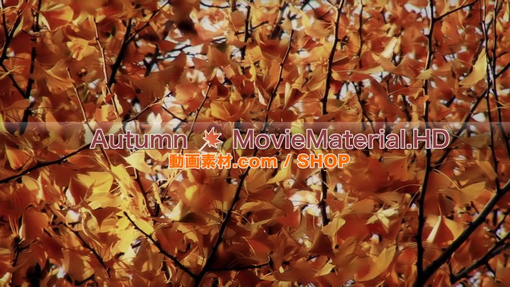 秋を題材にした実写映像素材とCG動画素材【Autumn MovieMaterial】2