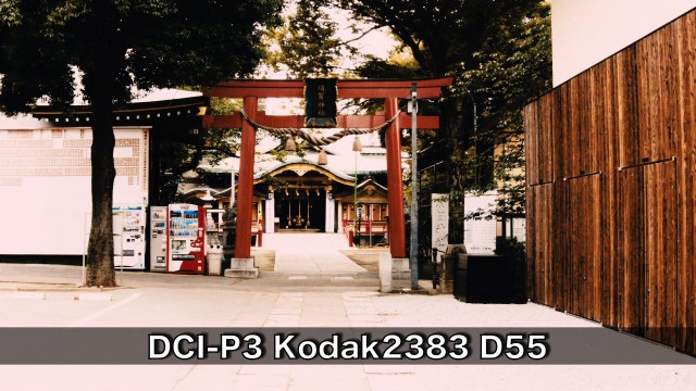 DCI-P3-Kodak2383-D55
