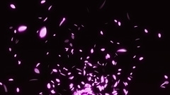 桜舞い散る静止画（3840×2160）1