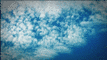 うろこ雲 動画素材8